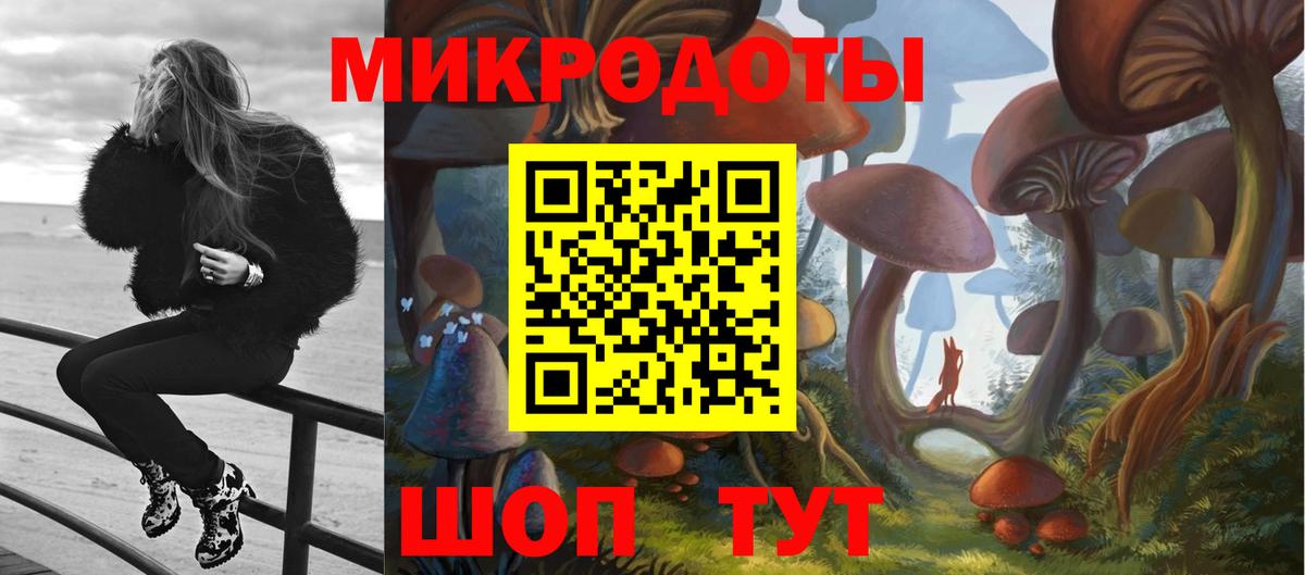 Галлюциногенные грибы прущие грибы Тимашёвск